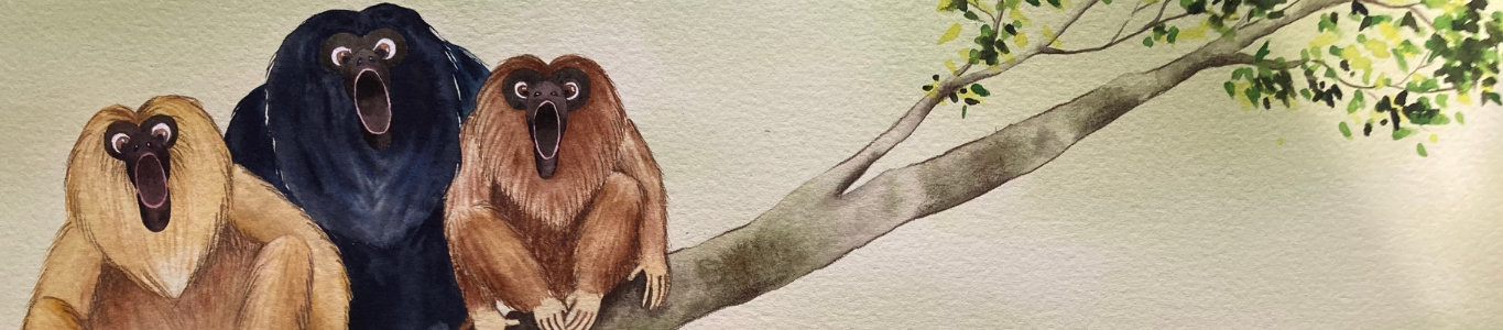 Libros Para Niños por Désirée Iturbide